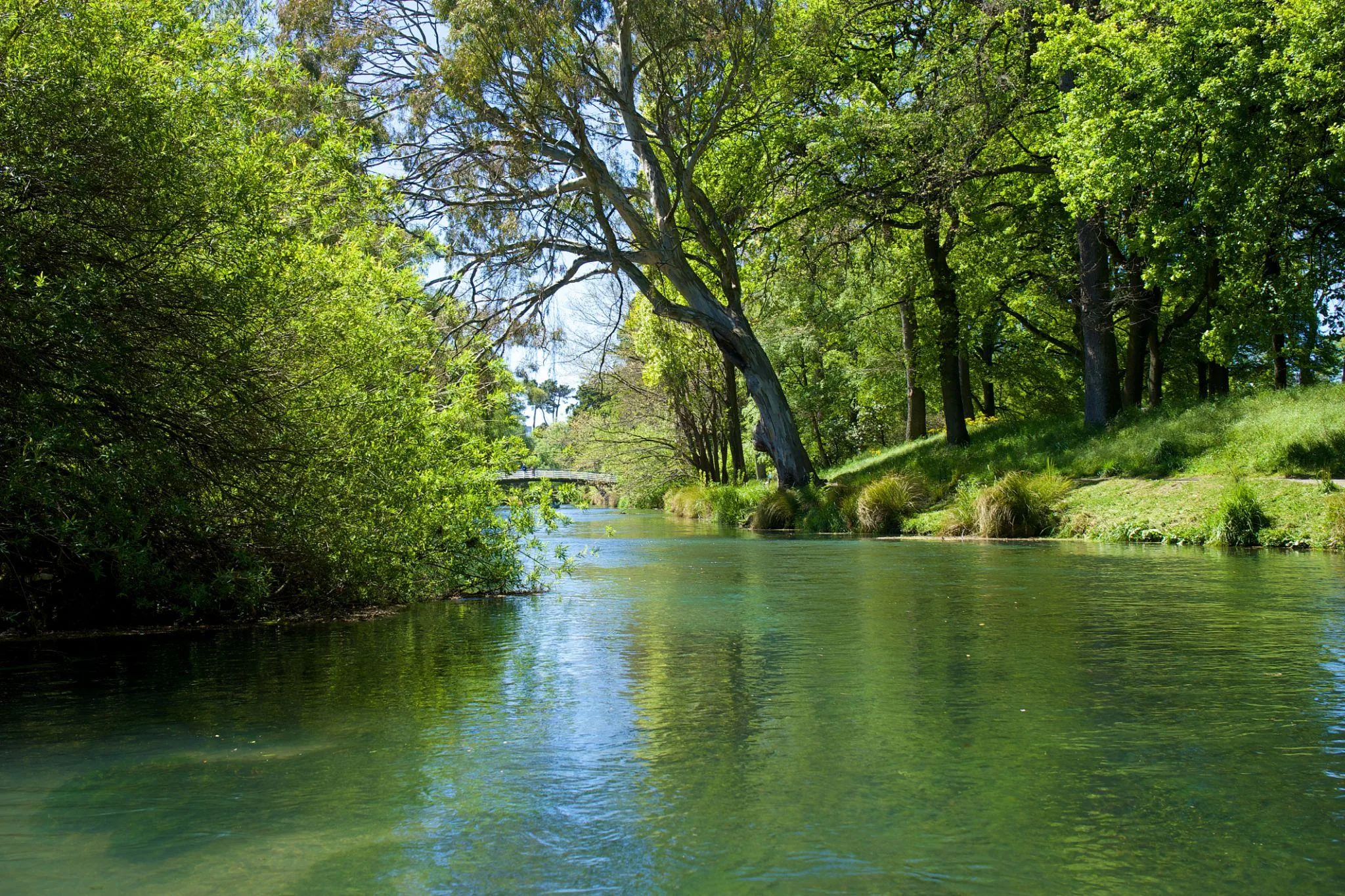 10-Day South Island Luxury Experience