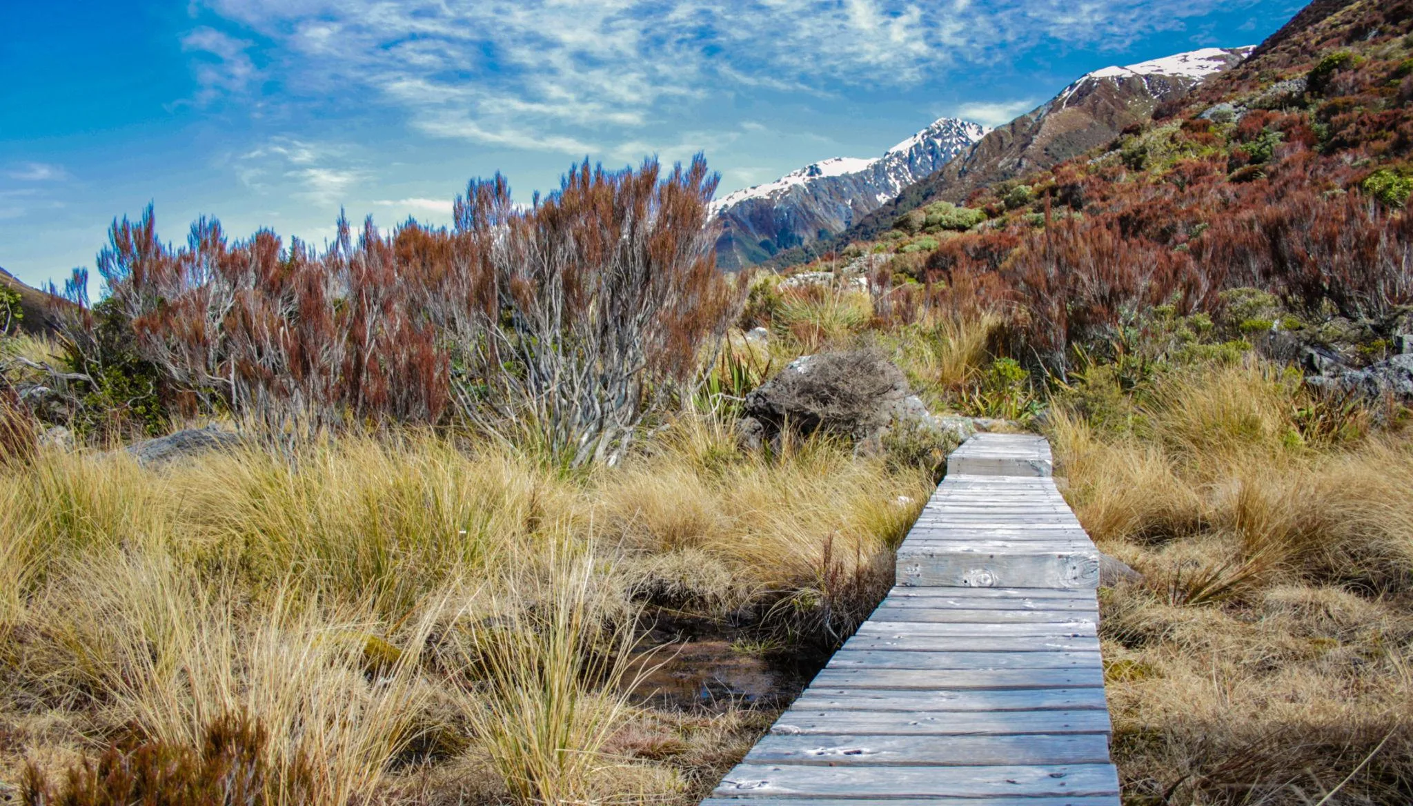 14-Day South Island Grand Luxury Experience