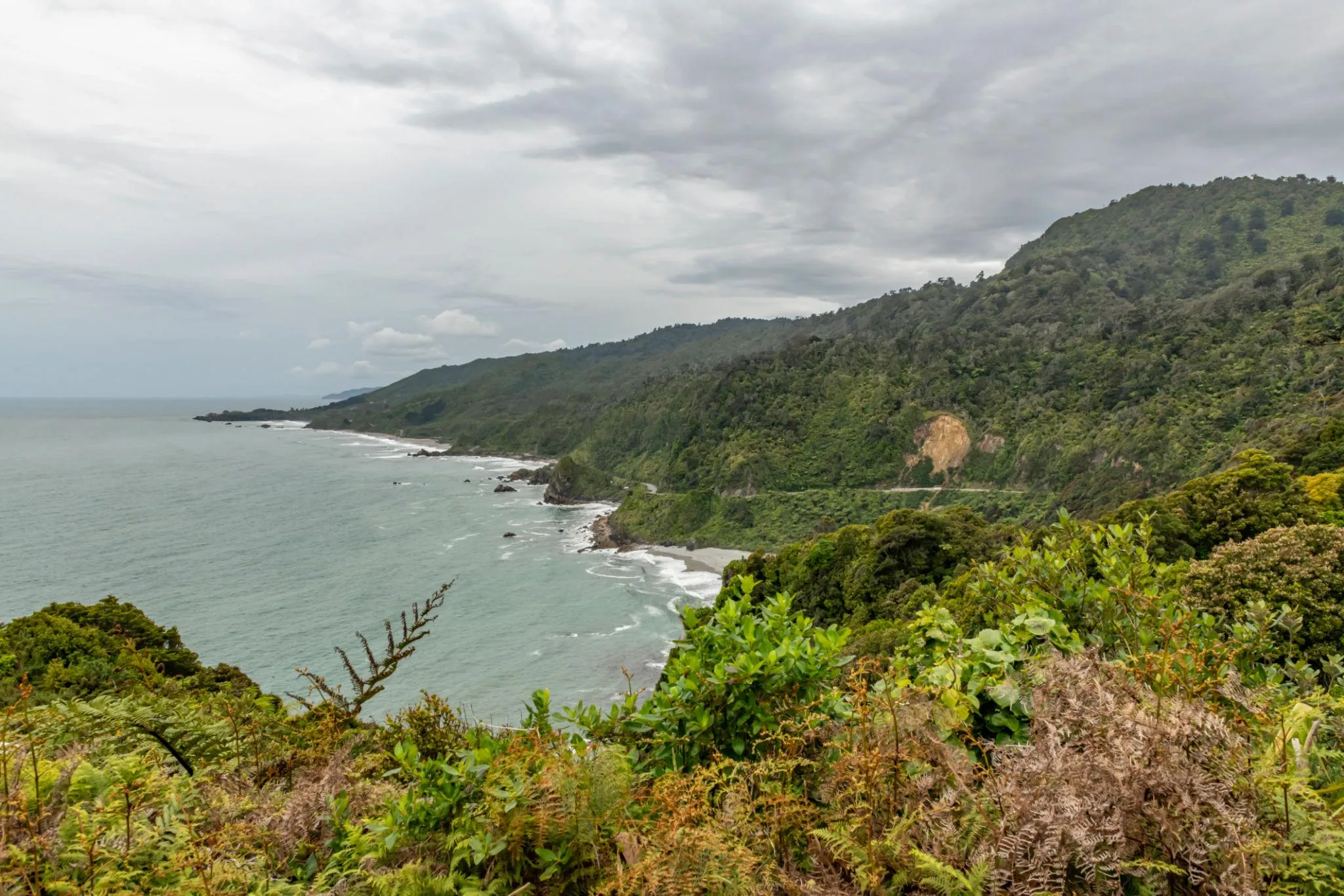 Kaikōura Day Experience & Departure
