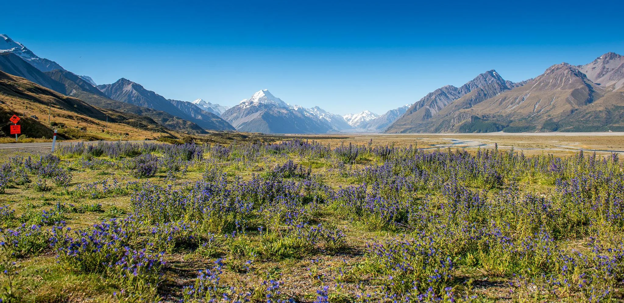 7-Day South Island Scenic Experience