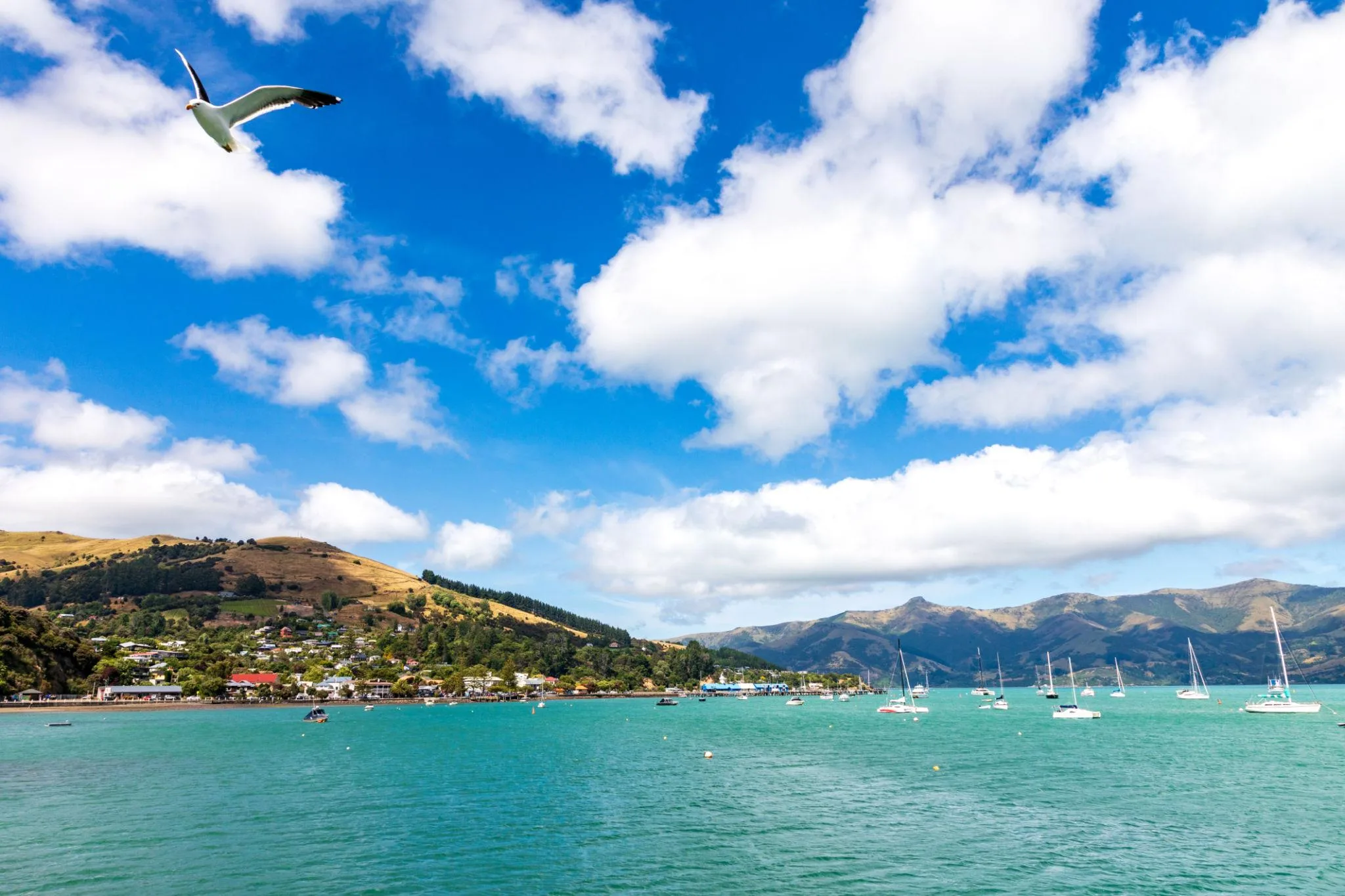 7-Day South Island Scenic Experience
