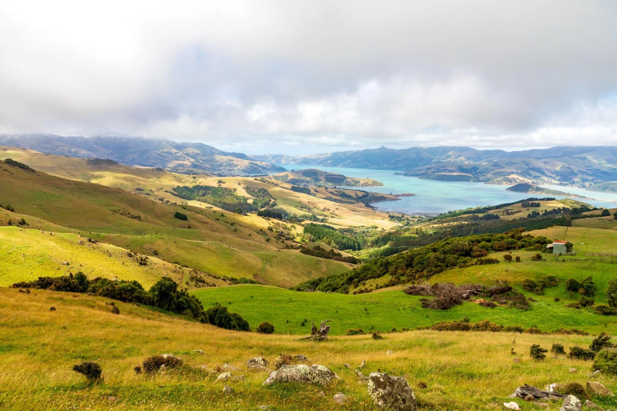 7-Day South Island Scenic Experience