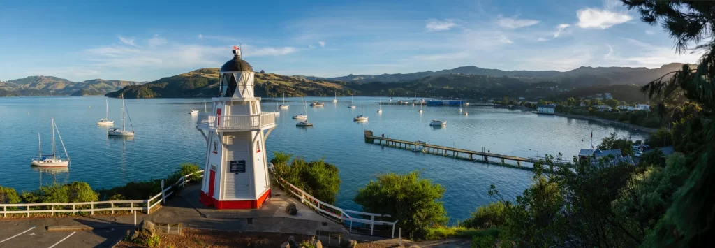 Akaroa Luxury Day Experience