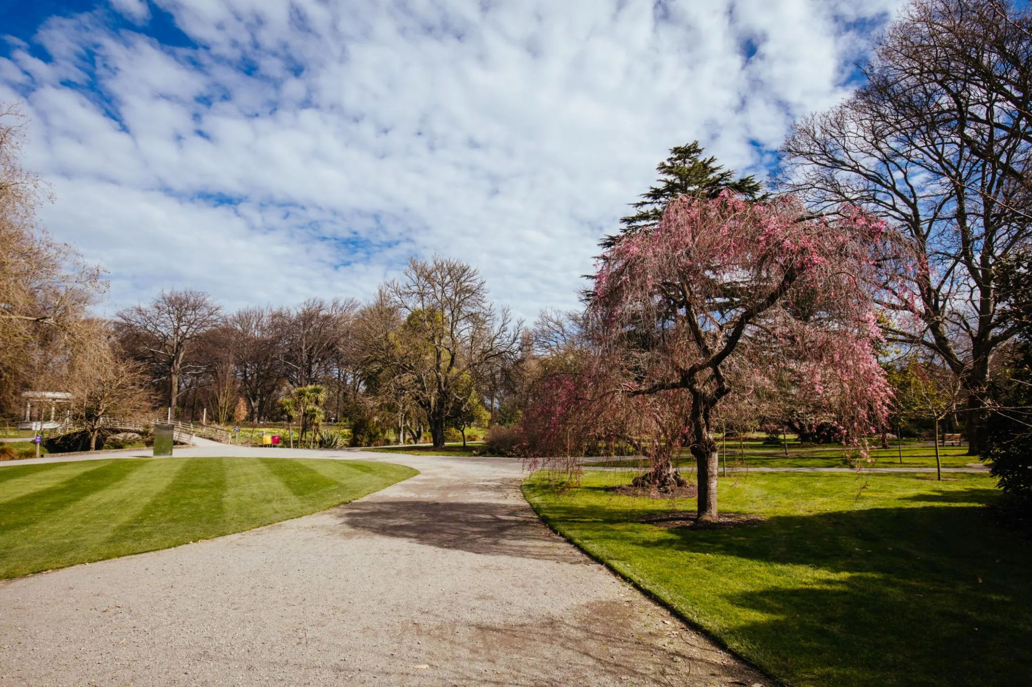 Christchurch Pickup