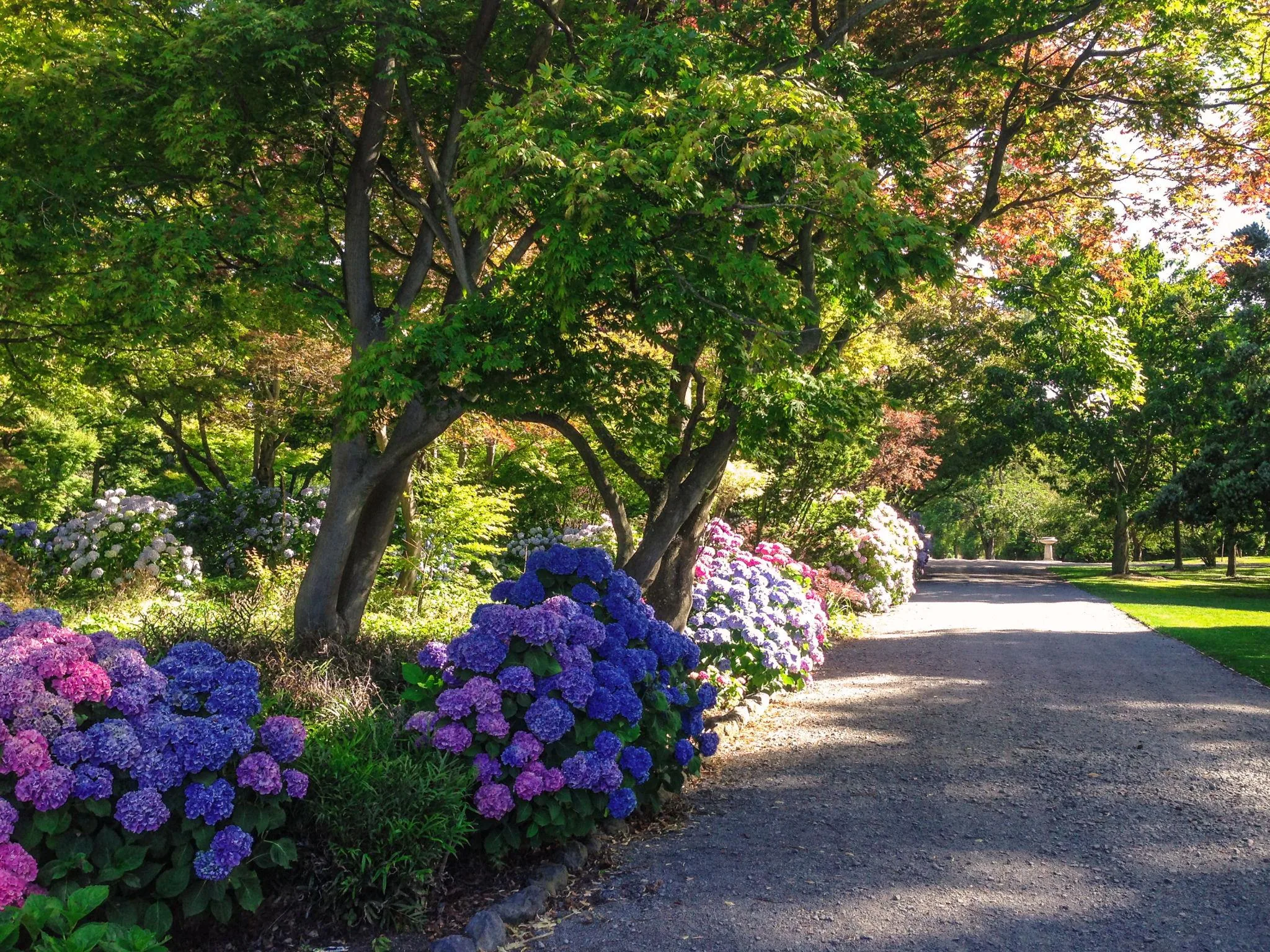 Christchurch City & Scenic Highlights Experience