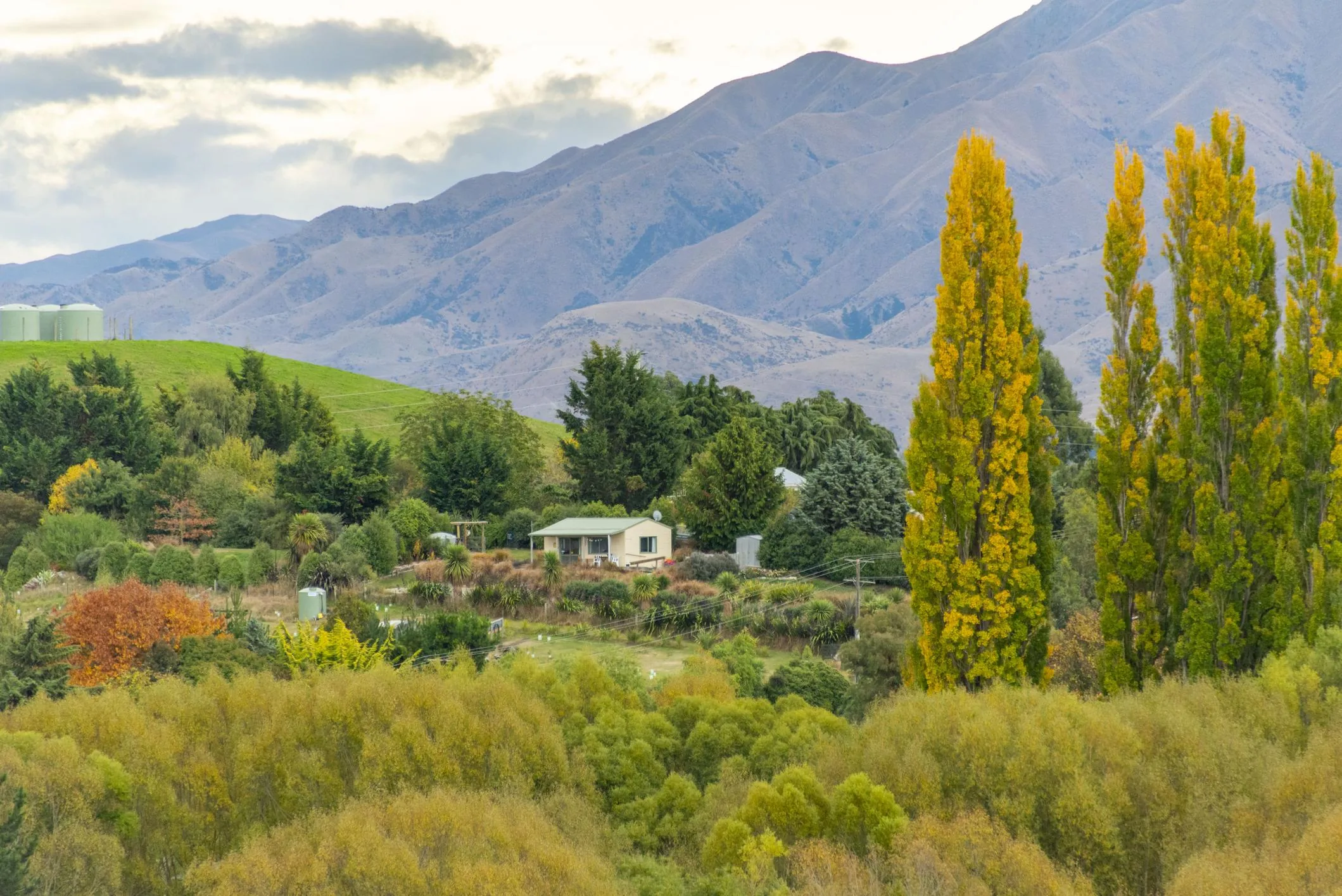 Arthur’s Pass & Castle Hill Experience