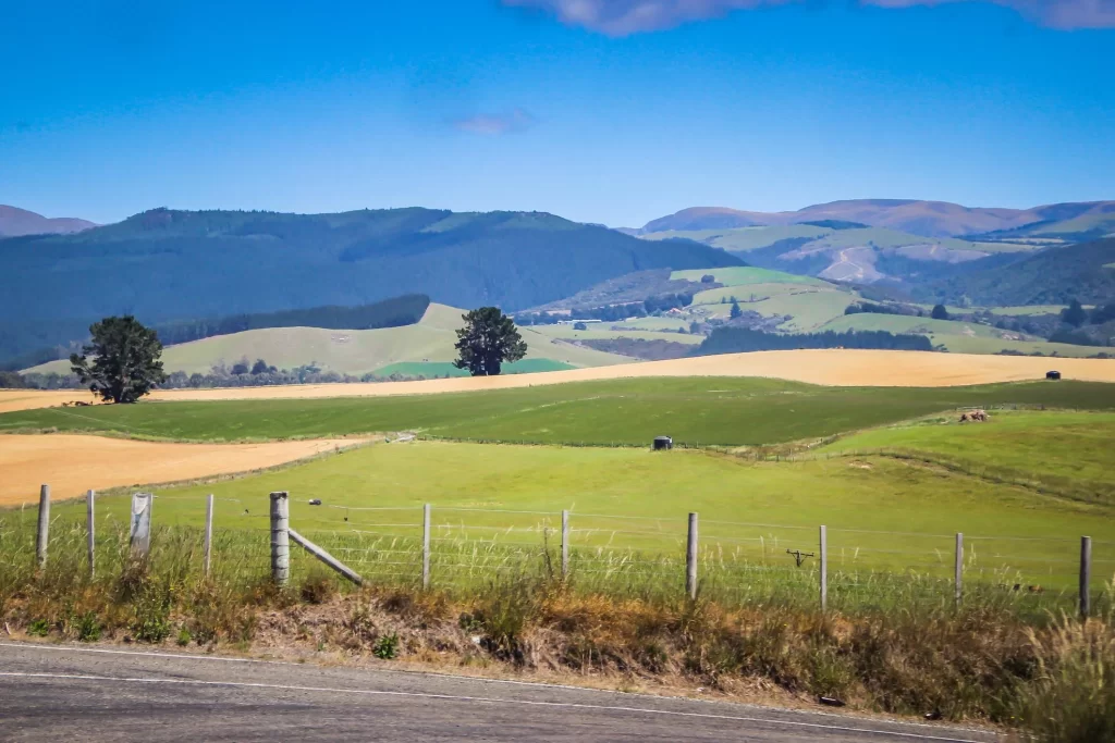 Arthur’s Pass & Castle Hill Experience