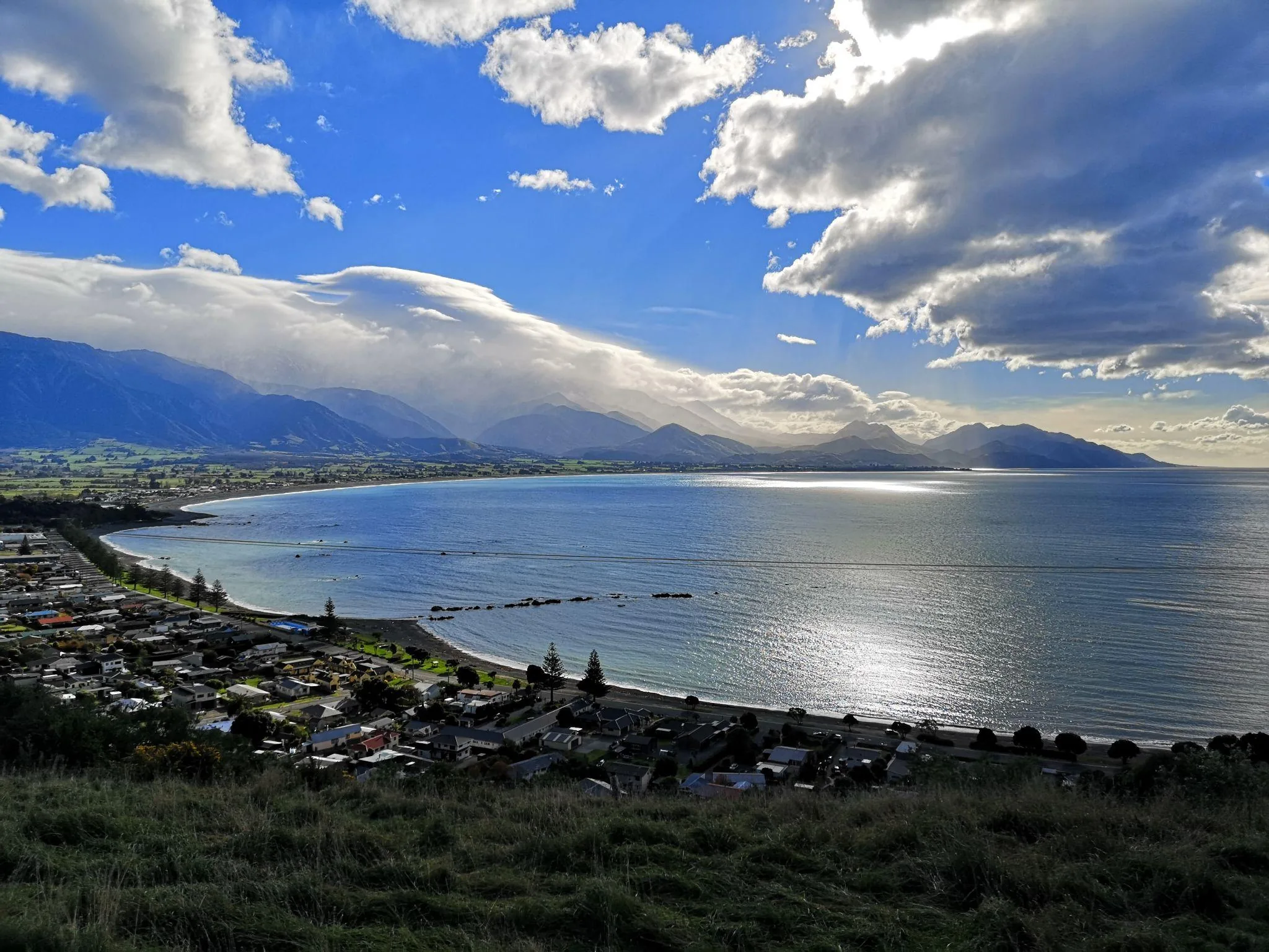 Kaikōura Coastline & Seal Colony