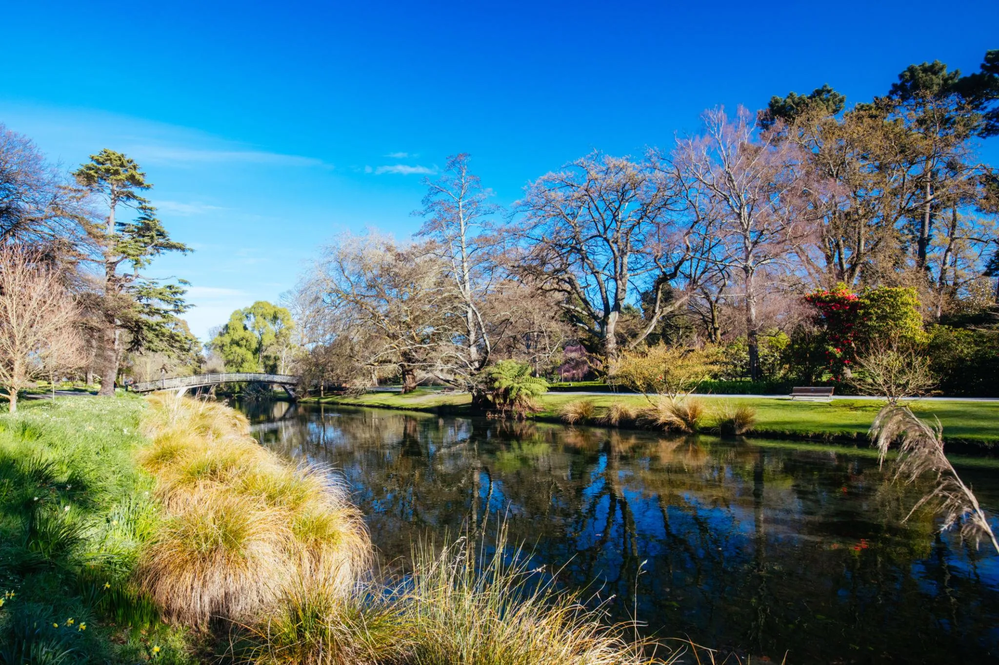 Christchurch City & Scenic Highlights Experience