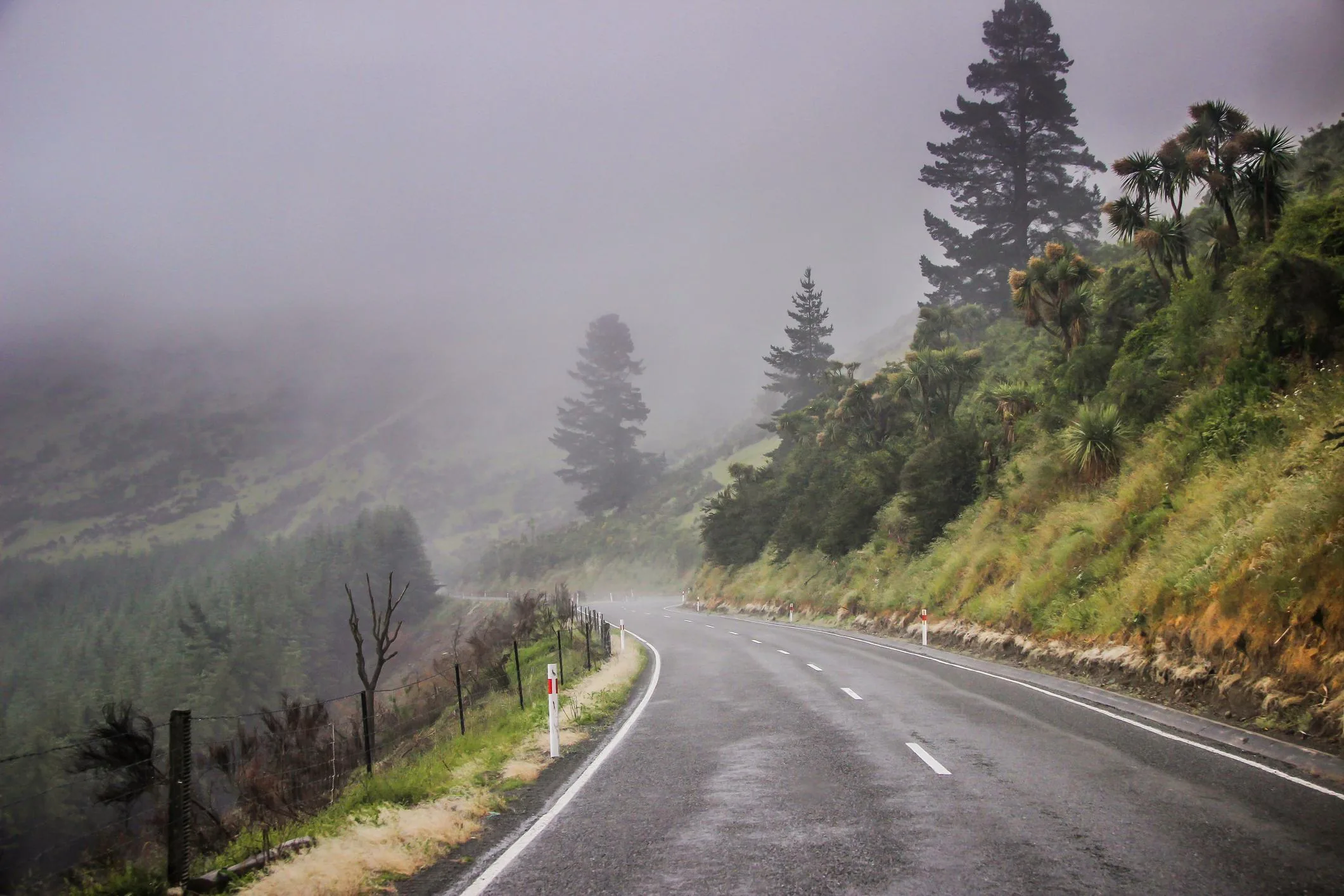Arthur’s Pass & Castle Hill Experience