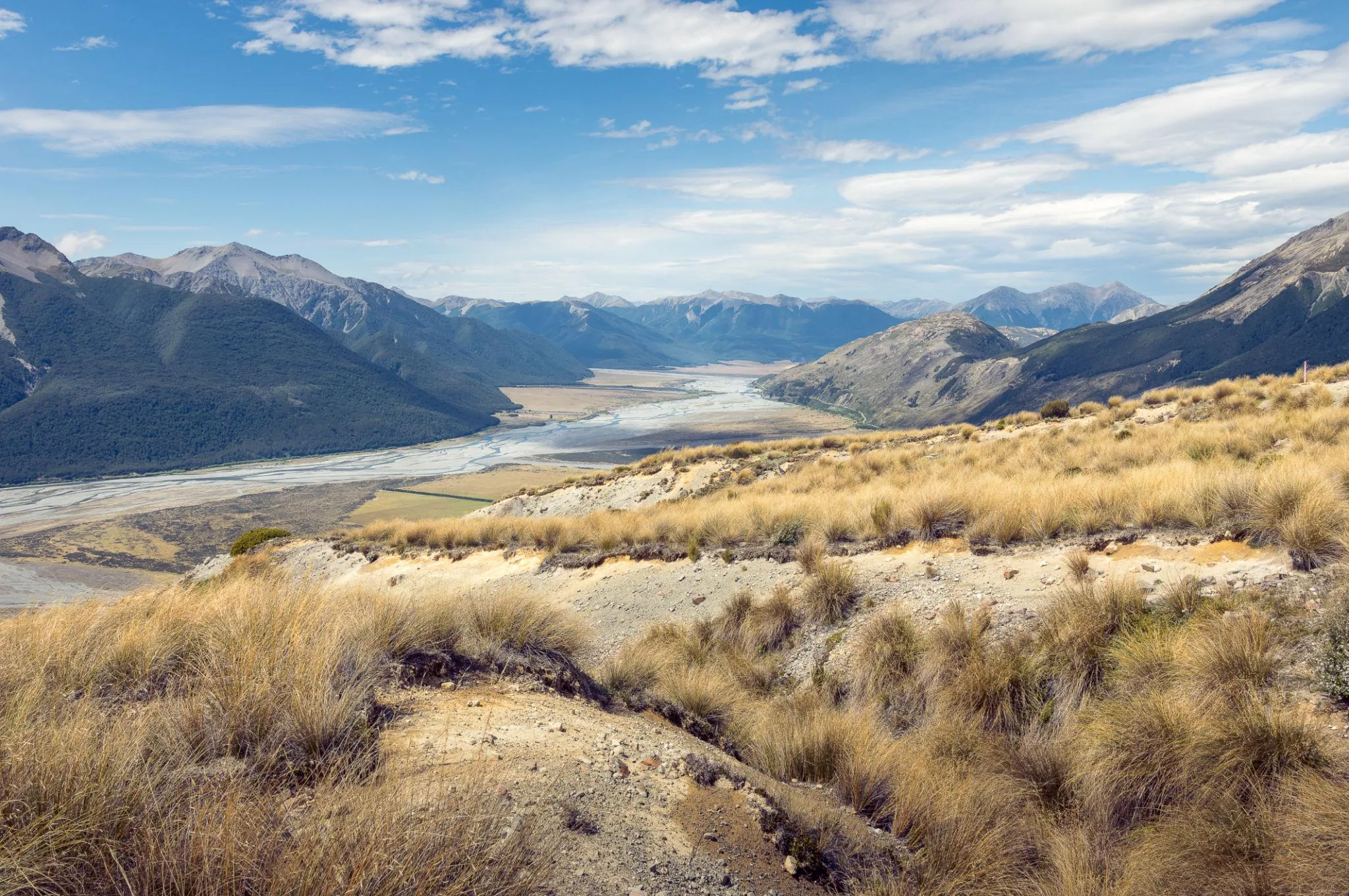 TranzAlpine Train, Arthur’s Pass & Castle Hill Experience