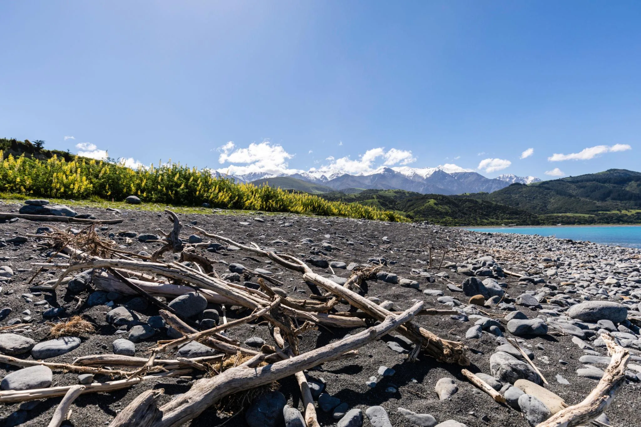 Kaikōura Coastal Escape