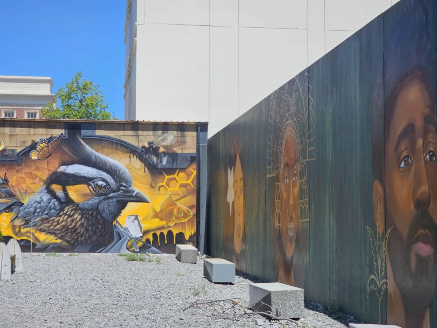 Christchurch City & Scenic Highlights Experience