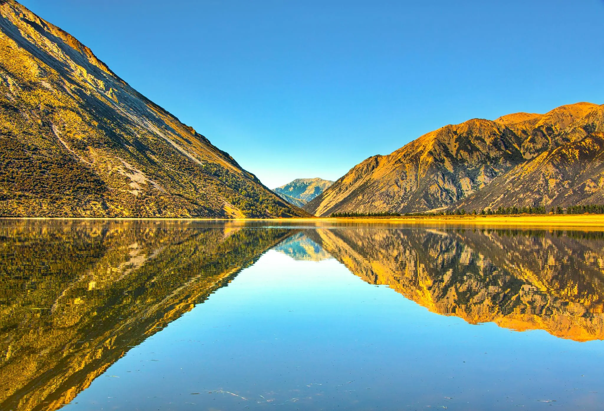 Arthur’s Pass & Castle Hill Experience