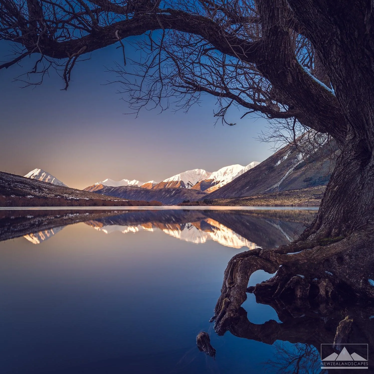 Arthur’s Pass & Castle Hill Experience