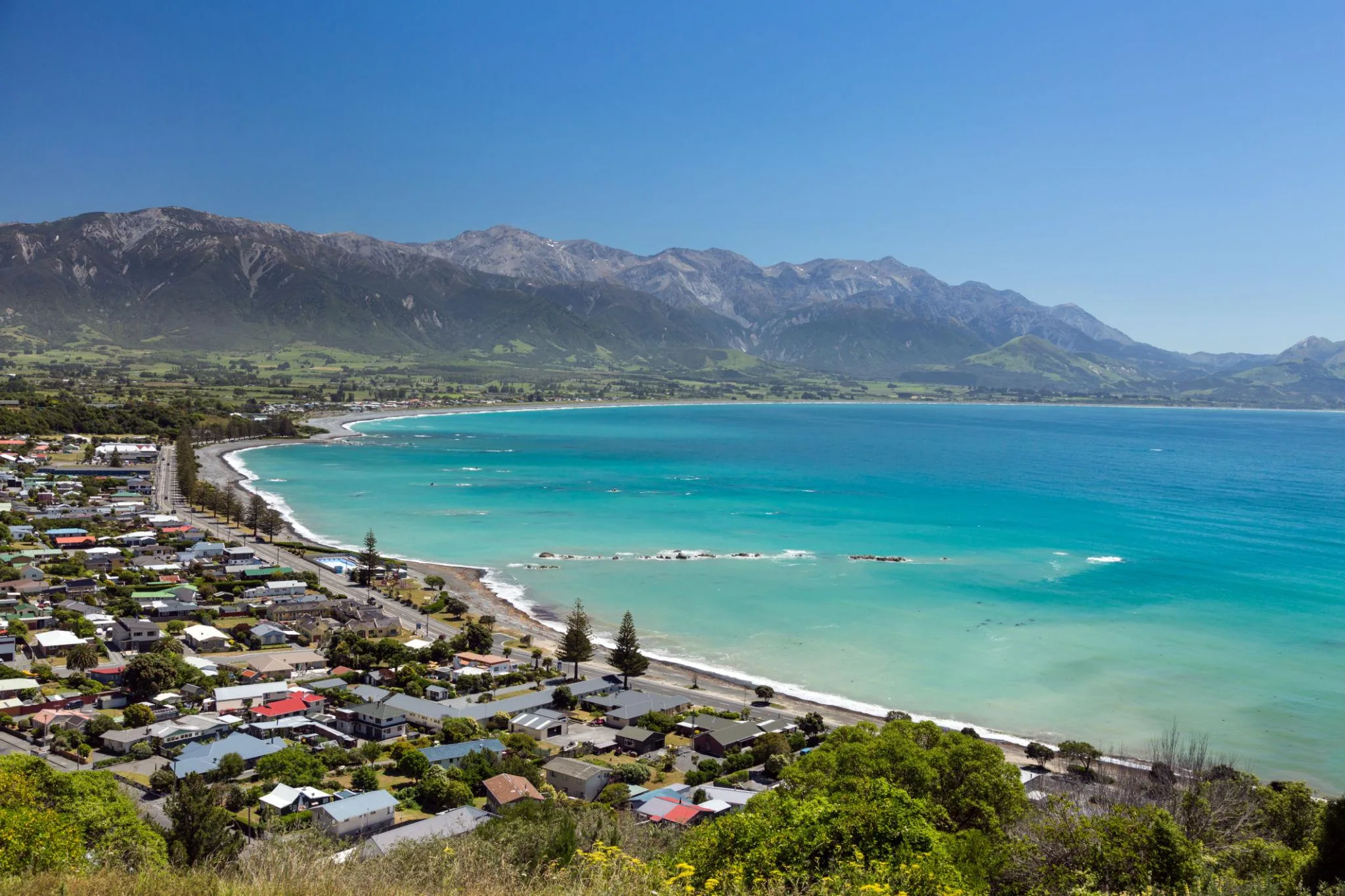 Kaikōura Coastal Escape