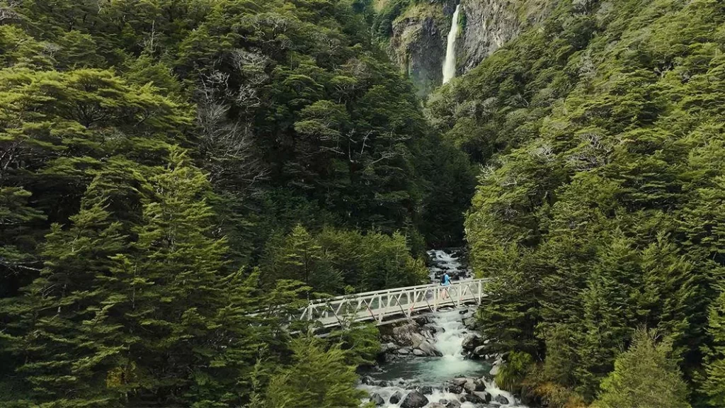 TranzAlpine Train, Arthur’s Pass & Castle Hill Experience