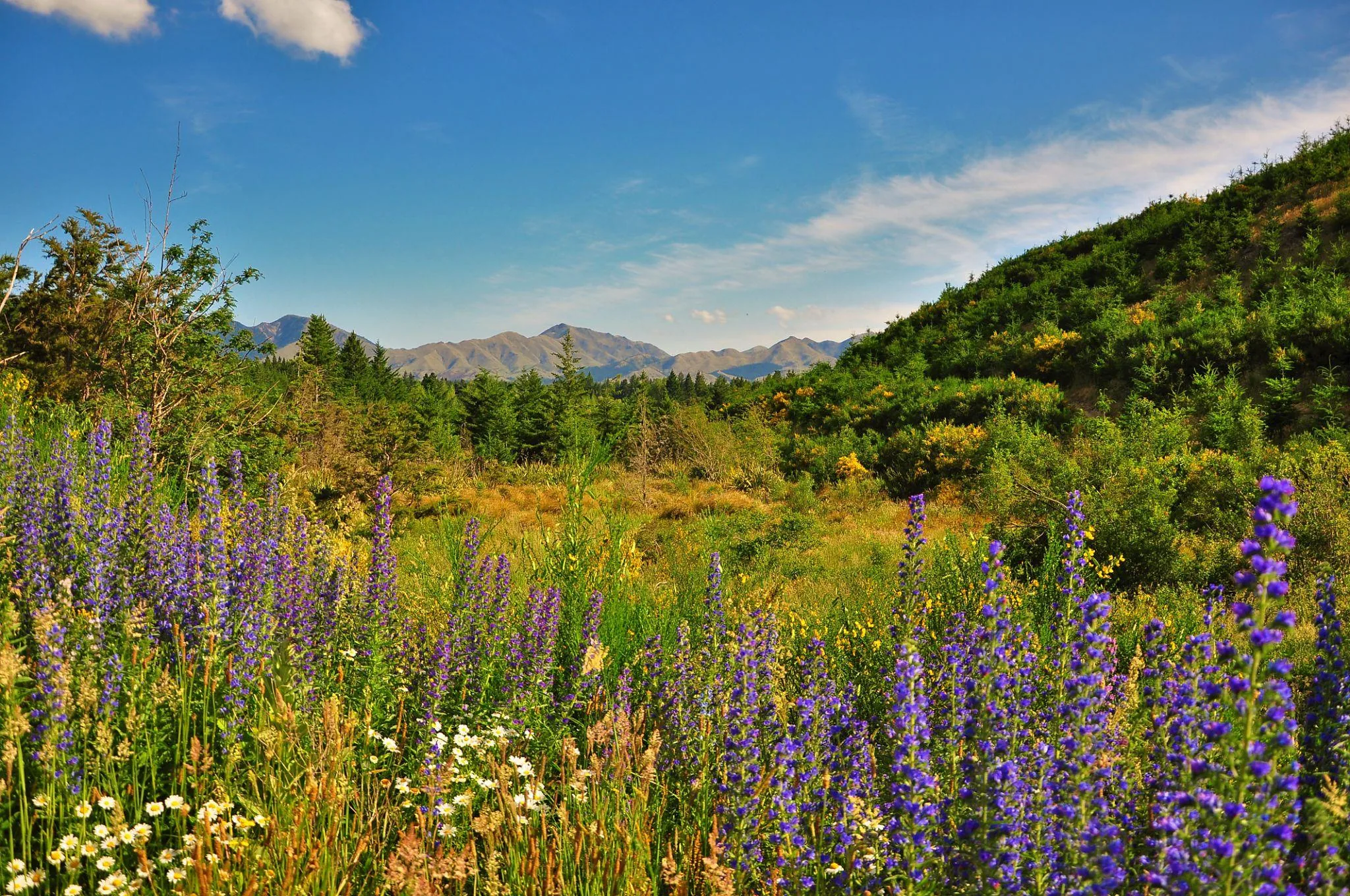 Hanmer Springs Alpine Escape