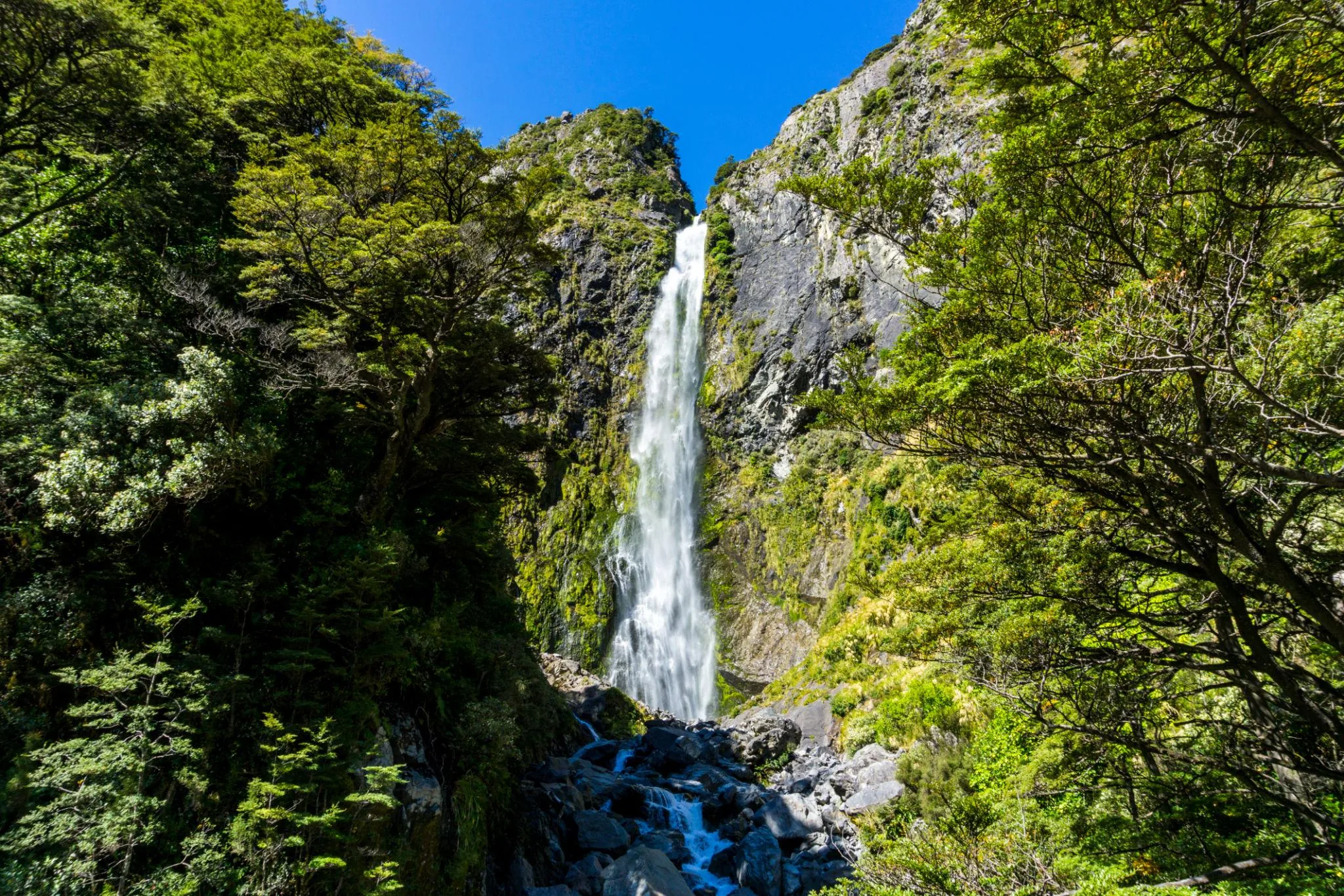 Arthur’s Pass & Castle Hill Experience