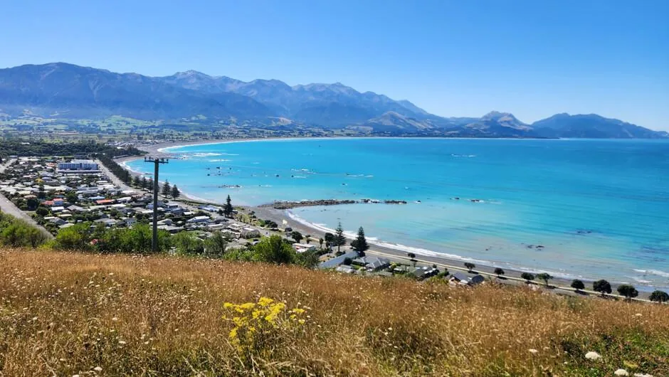 Kaikōura Coastal Escape