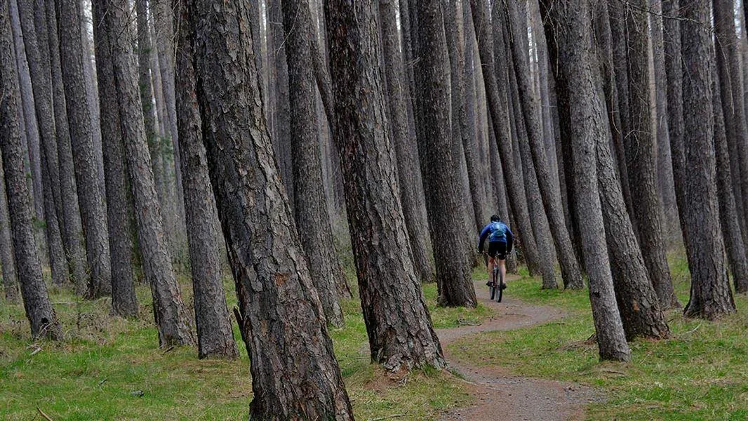 Hanmer Springs Alpine Escape