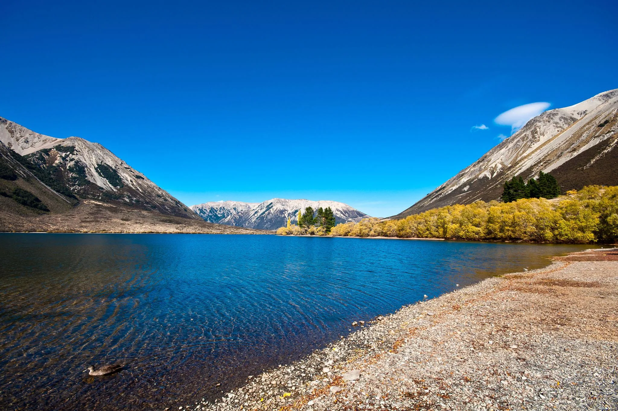 TranzAlpine Train, Arthur’s Pass & Castle Hill Experience