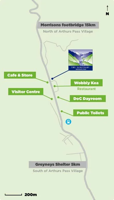 Arthur’s Pass & Castle Hill Experience