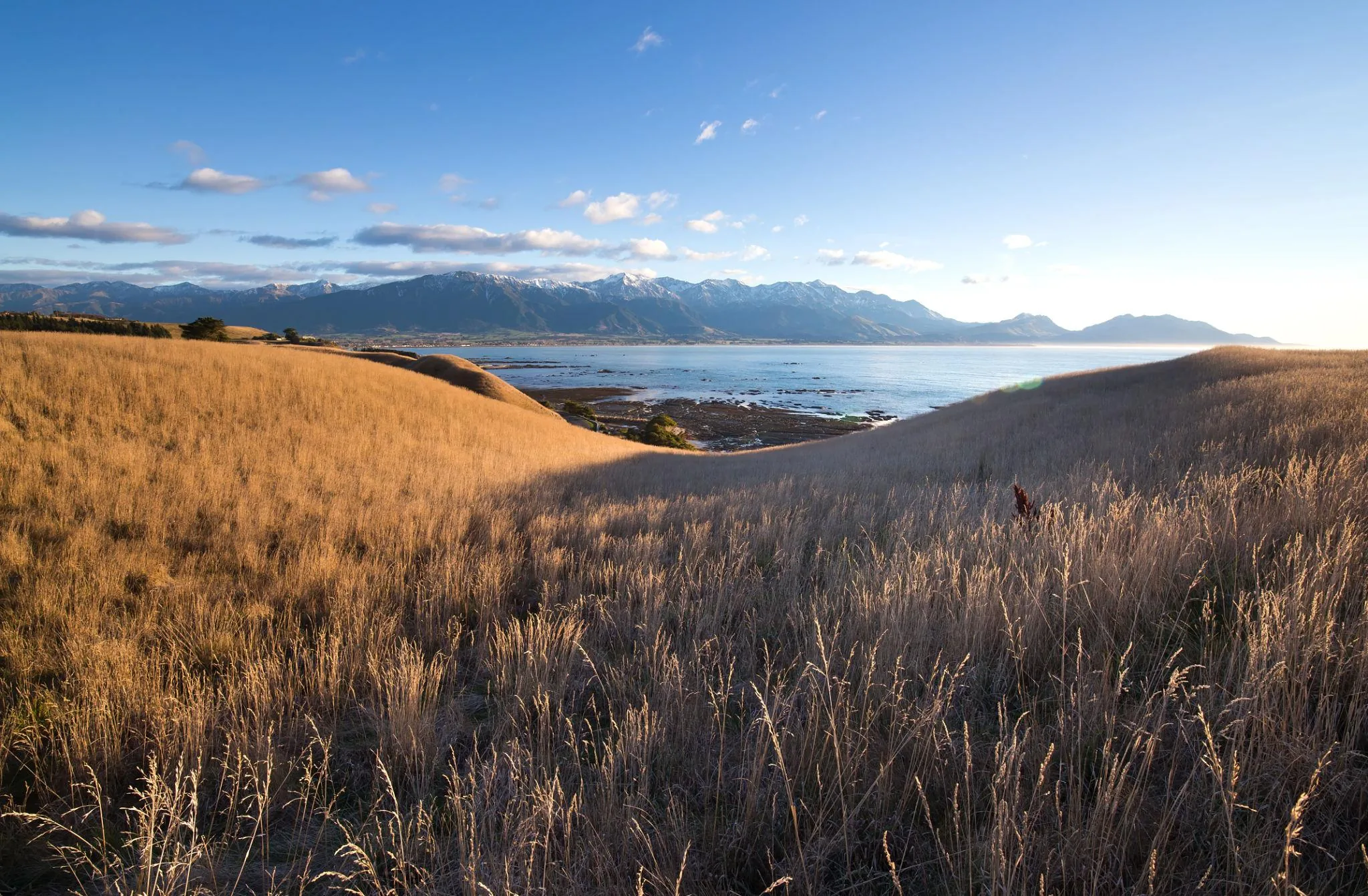 Kaikōura Coastal Escape