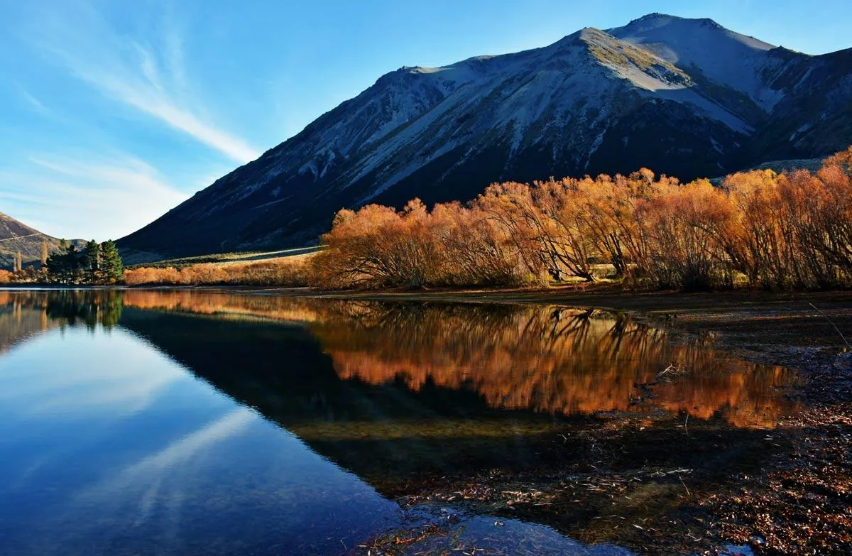 TranzAlpine Train, Arthur’s Pass & Castle Hill Experience