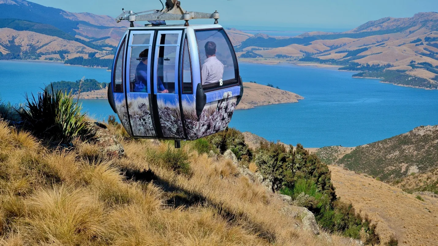 Christchurch City & Scenic Highlights Experience