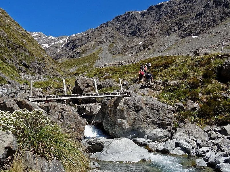 Arthur’s Pass & Castle Hill Experience