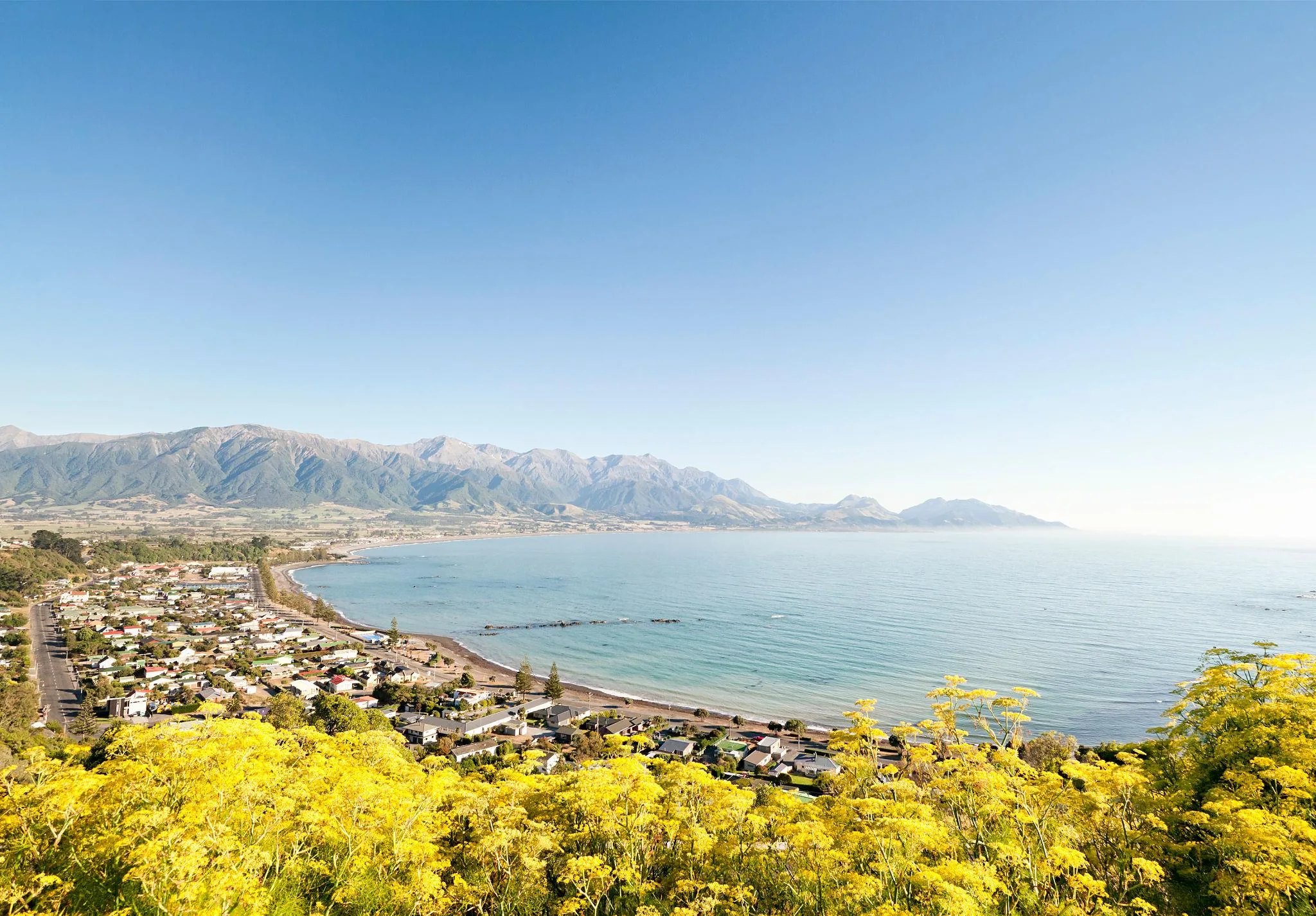 Kaikōura Coastal Escape