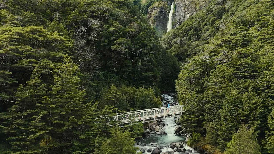 Arthur’s Pass & Castle Hill Experience