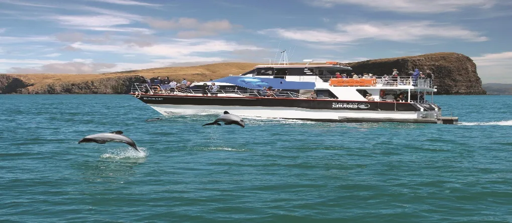 Explore Akaroa – The Charming French Town