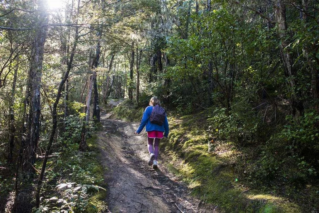 Hanmer Springs Alpine Escape