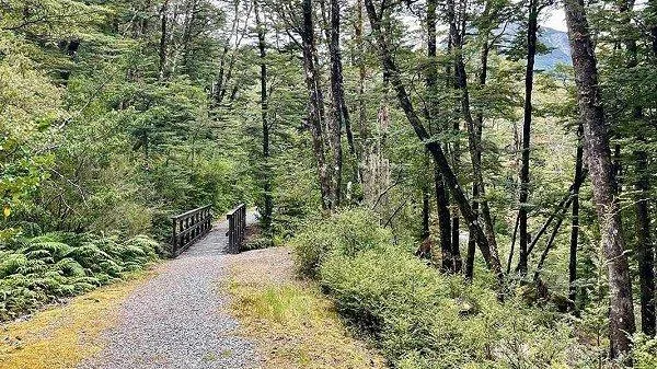 Arthur’s Pass & Castle Hill Experience