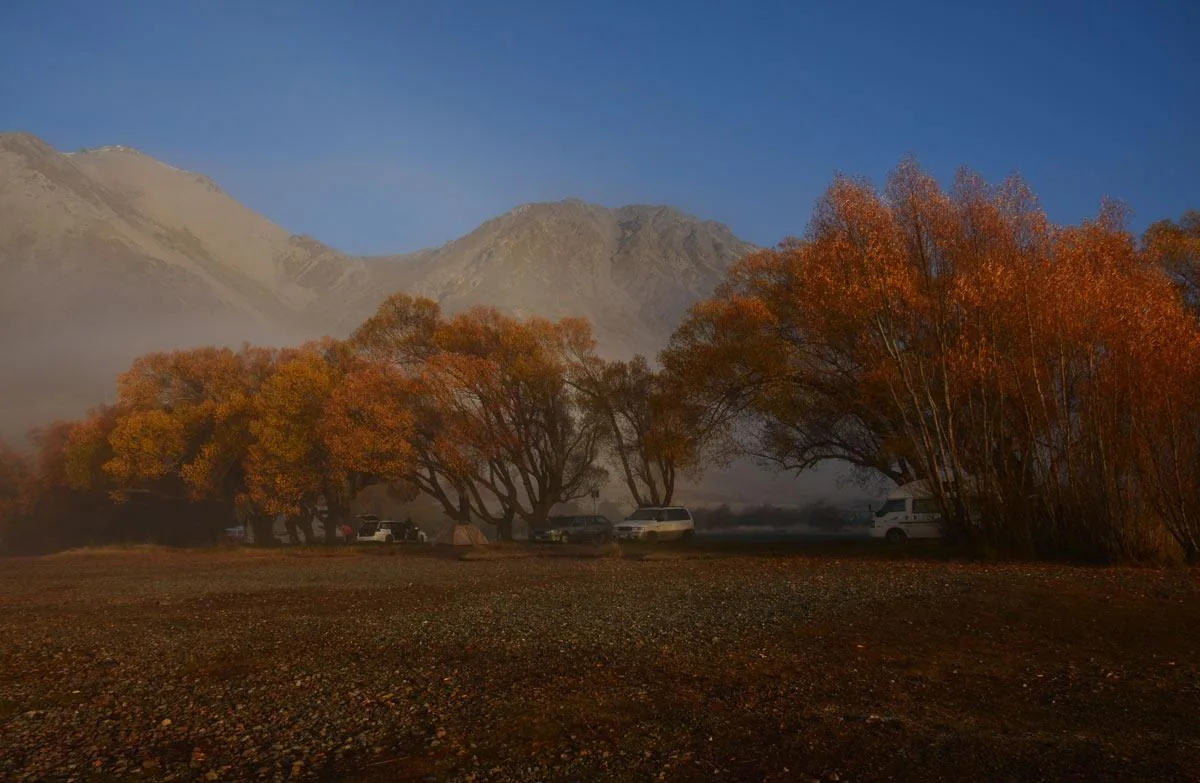 TranzAlpine Train, Arthur’s Pass & Castle Hill Experience