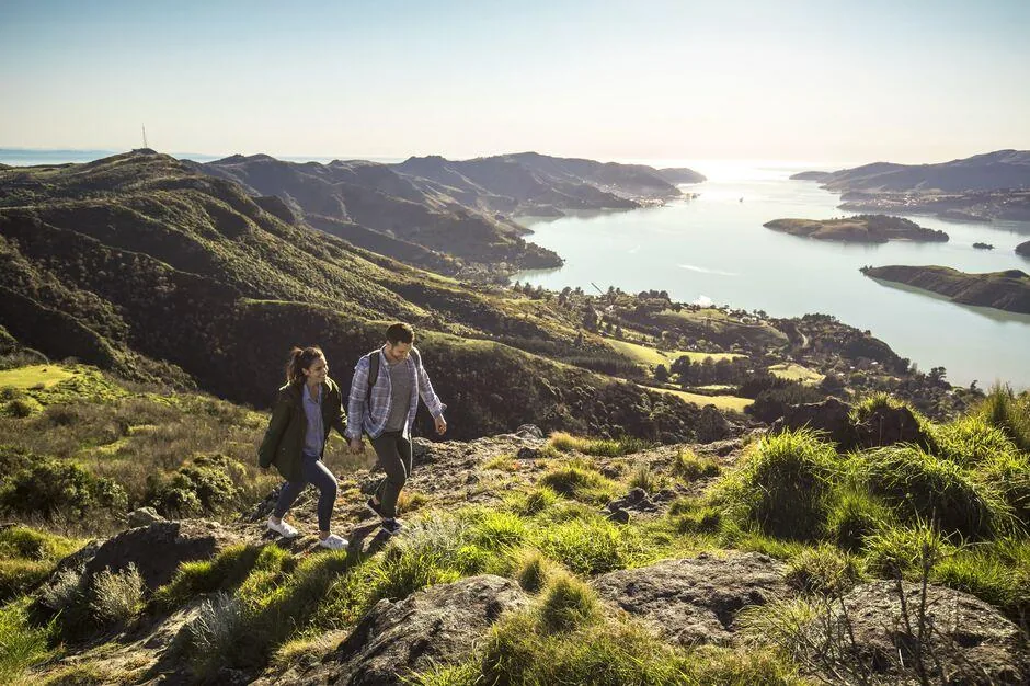 Christchurch City & Scenic Highlights Experience