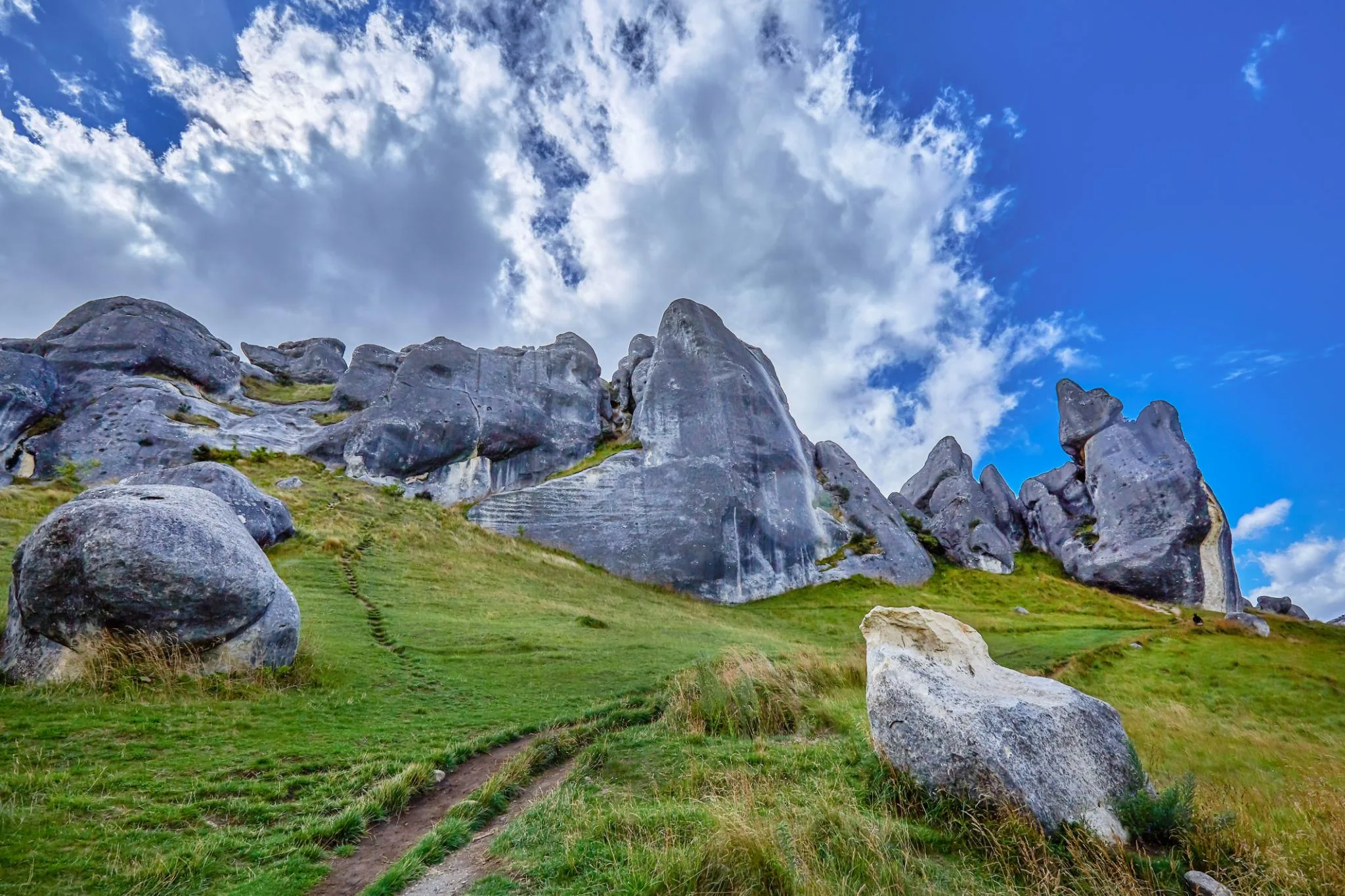 Arthur’s Pass & Castle Hill Experience