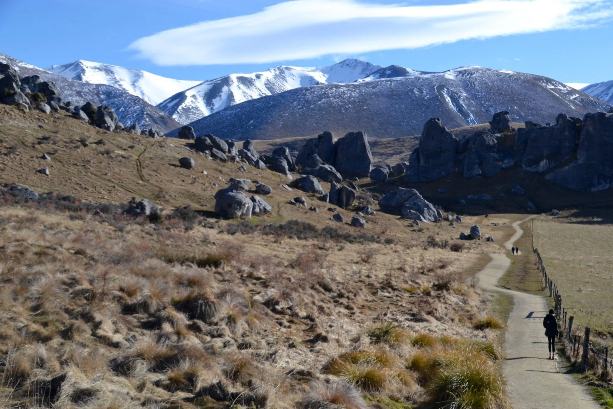 TranzAlpine Train, Arthur’s Pass & Castle Hill Experience