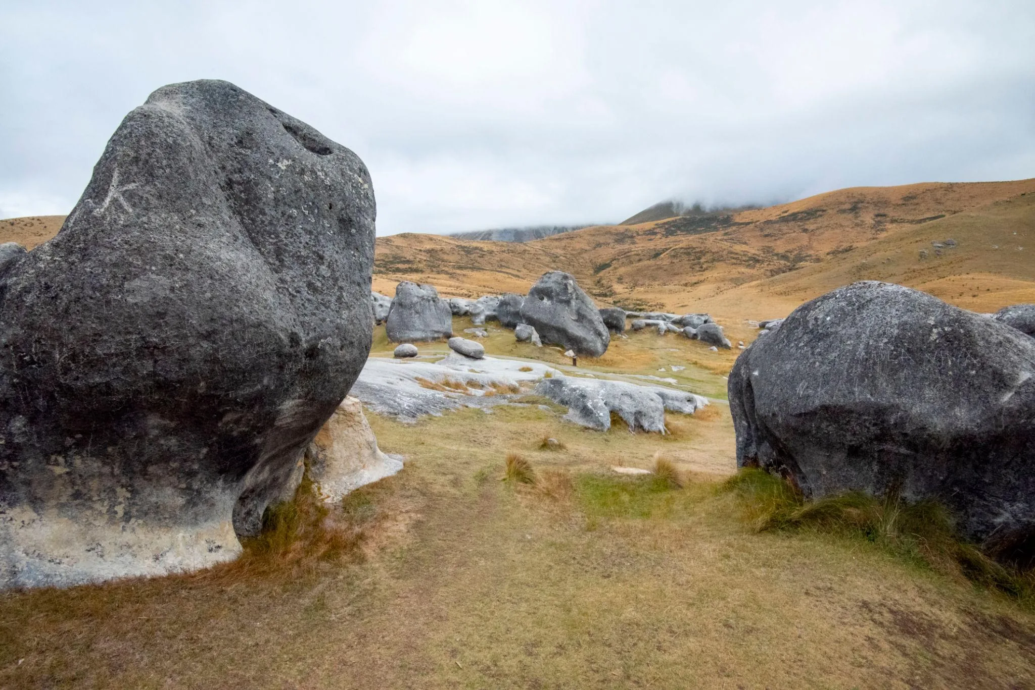 Arthur’s Pass & Castle Hill Experience