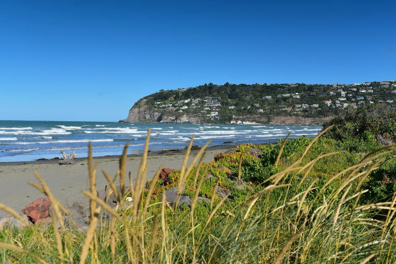 Christchurch City & Scenic Highlights Experience