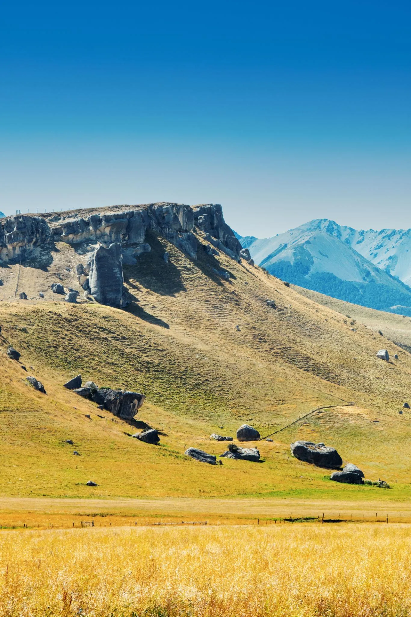Arthur’s Pass & Castle Hill Experience