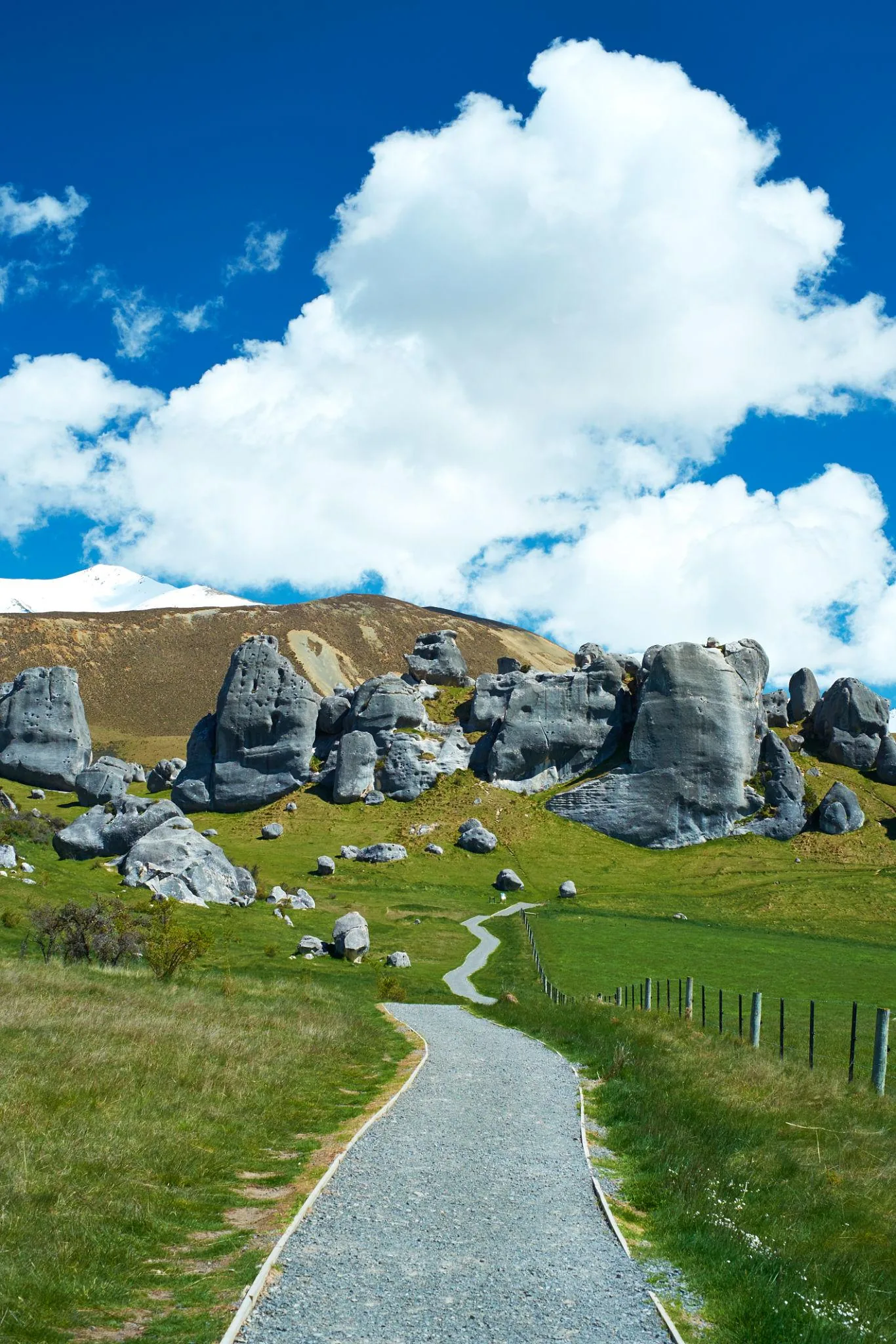 Arthur’s Pass & Castle Hill Experience