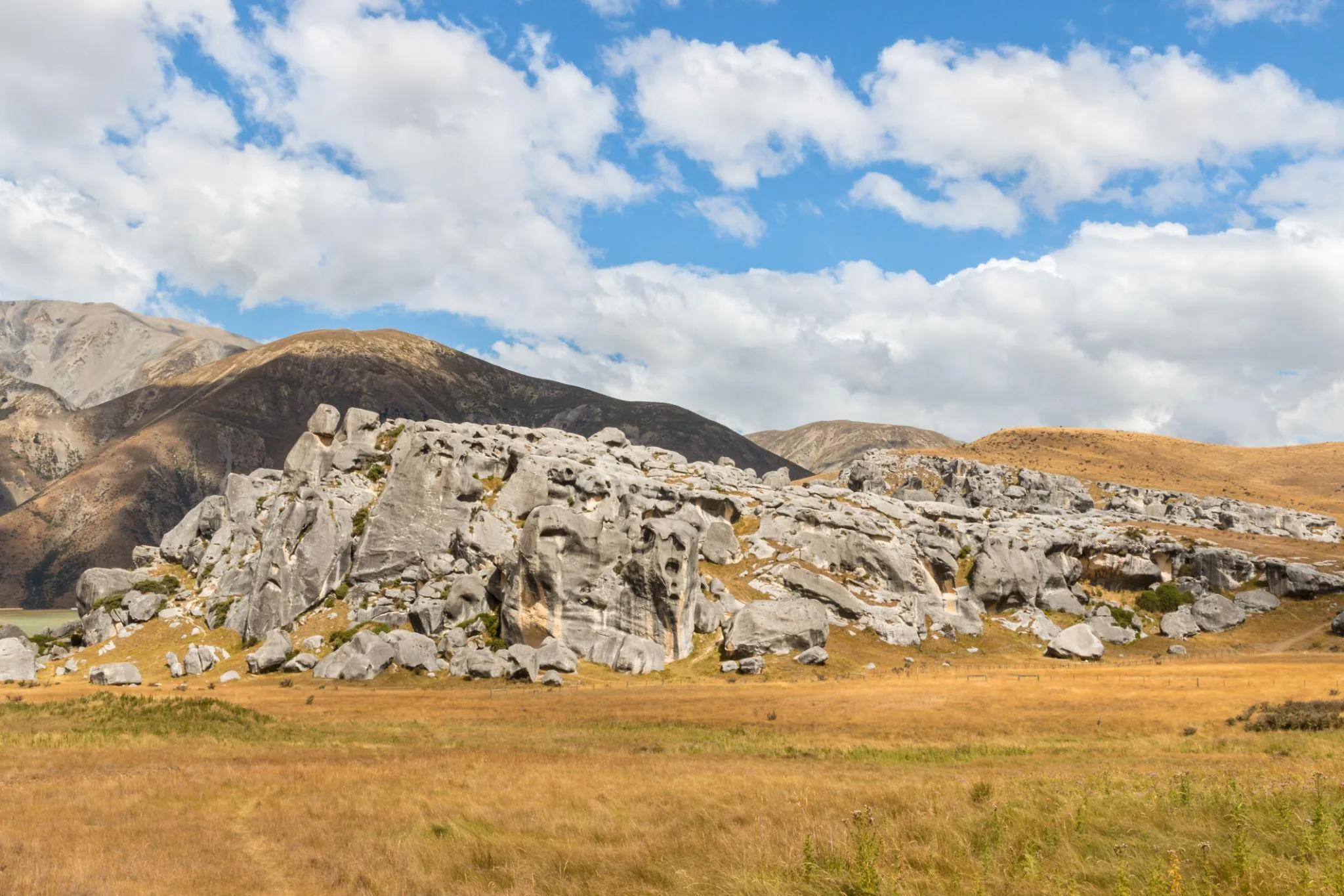 Arthur’s Pass & Castle Hill Experience