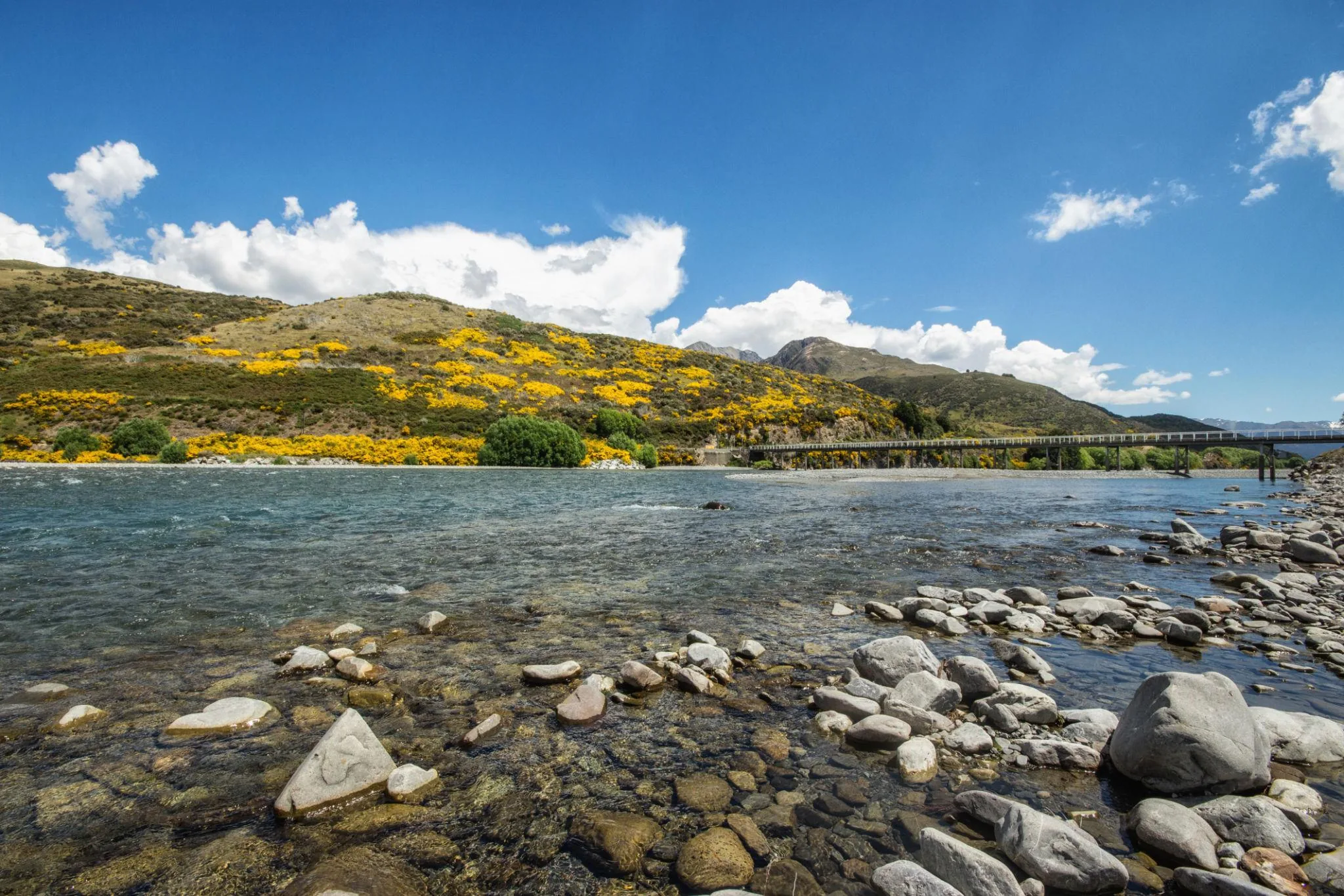TranzAlpine Train, Arthur’s Pass & Castle Hill Experience