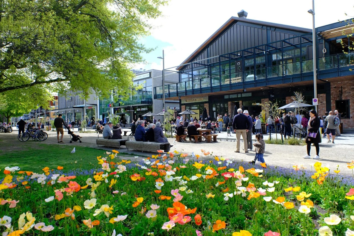 Christchurch City & Scenic Highlights Experience