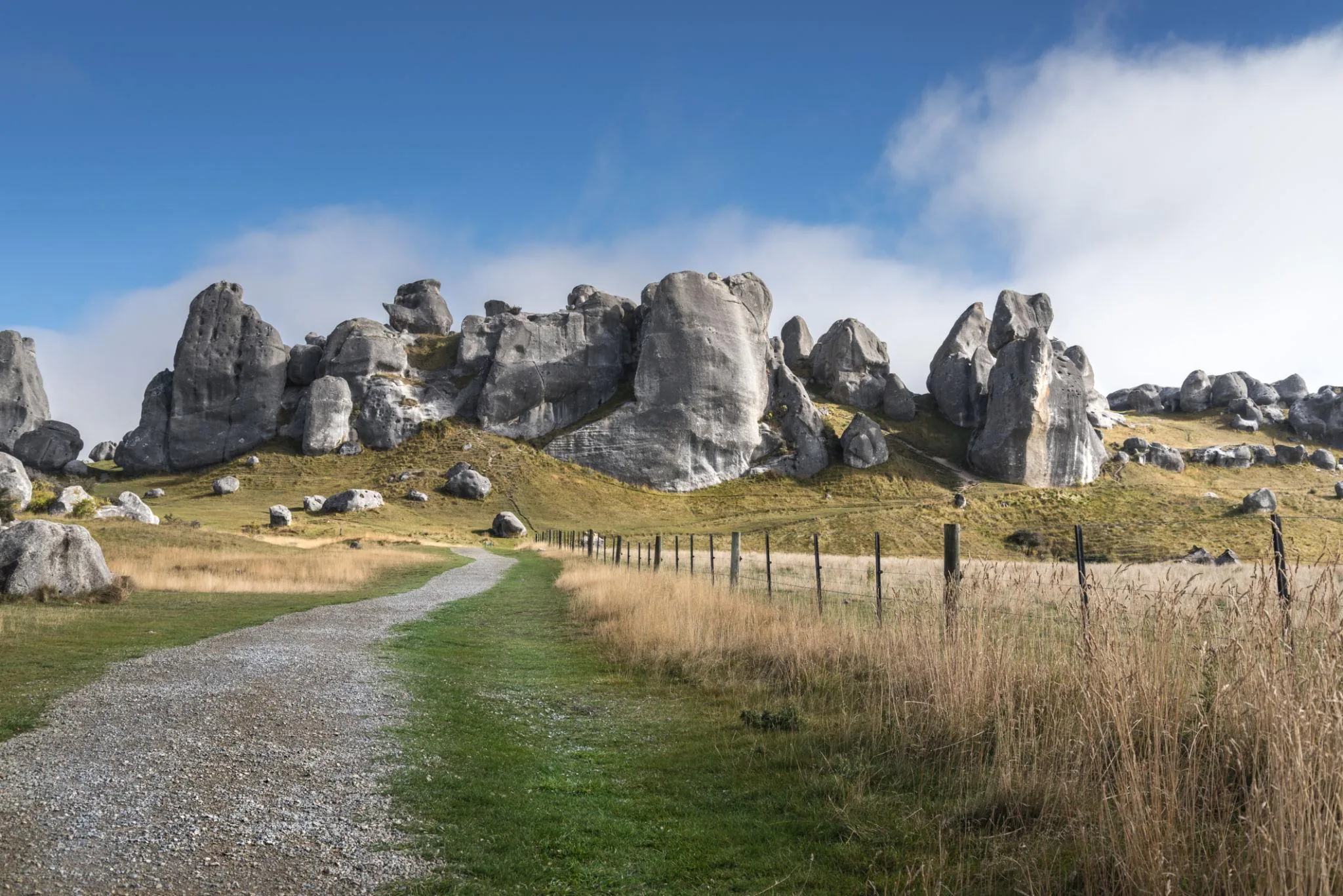 Arthur’s Pass & Castle Hill Experience