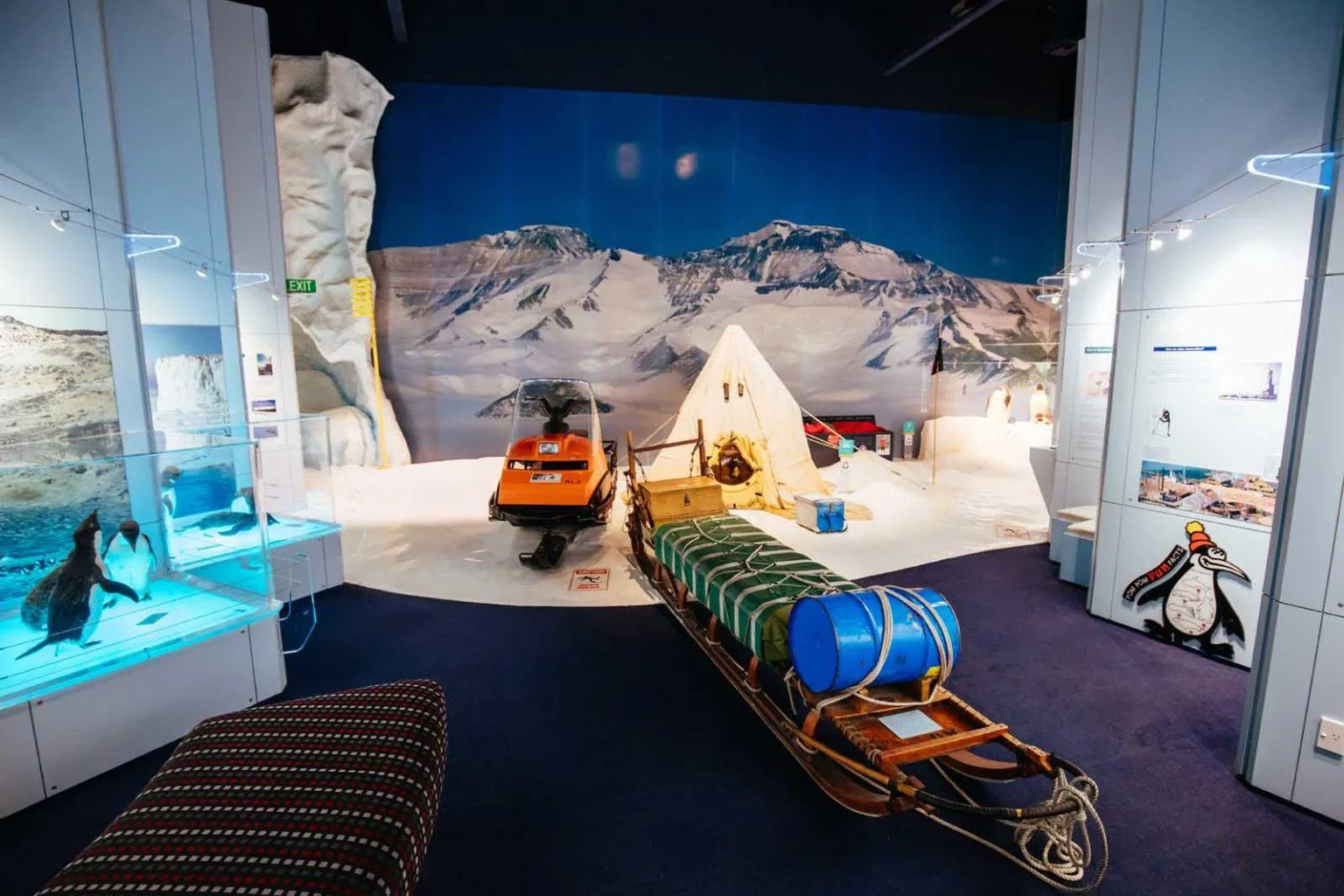 Christchurch City & Scenic Highlights Experience
