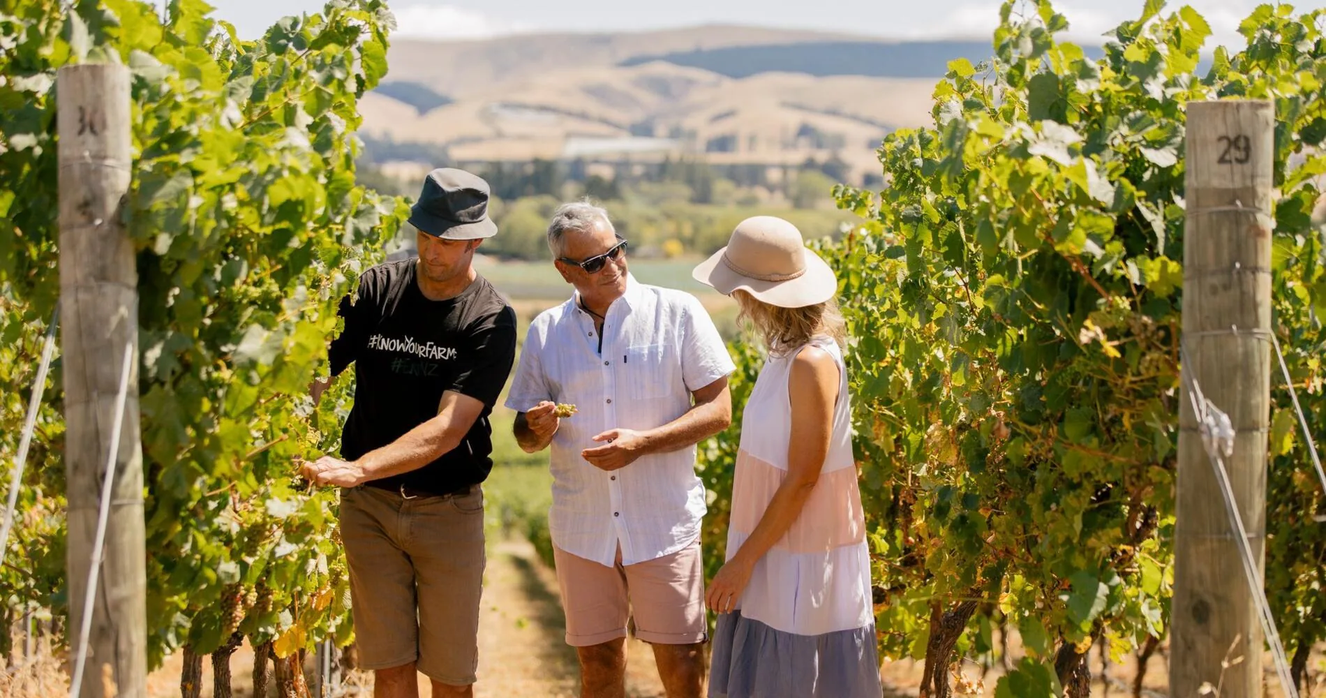 Waipara Scenic Drive